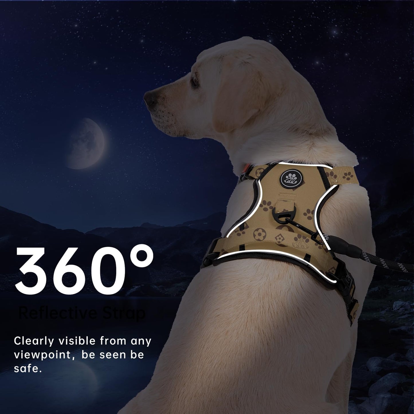 No Pull Dog Harness Set
