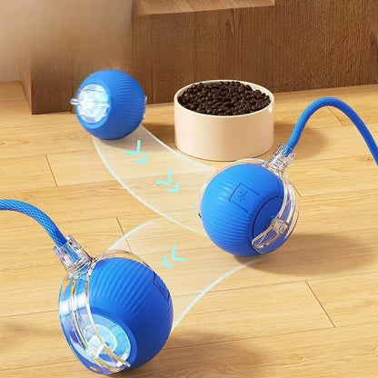Interactive Cat Rolling Ball Toy