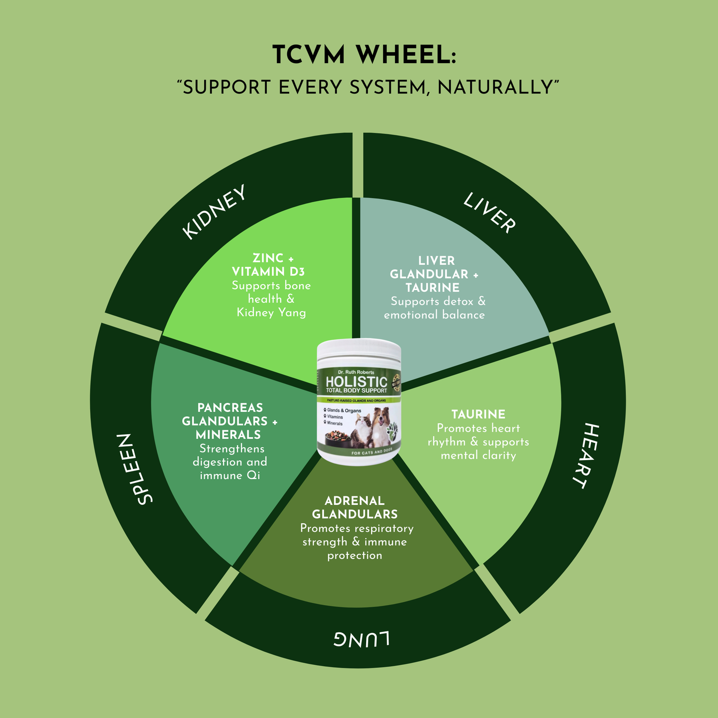 TCYM Wheel diagram with Holistic Animal Health product on a green background