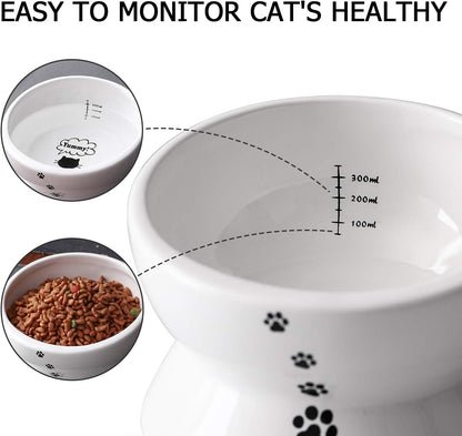 Elevated Cat Food Bowl, Raised Pet Food and Water Bowl, Cat and Small Dog Bowl, Tilted Ceramic Cat Water Bowl No Spill,15Oz, Dishwasher Safe