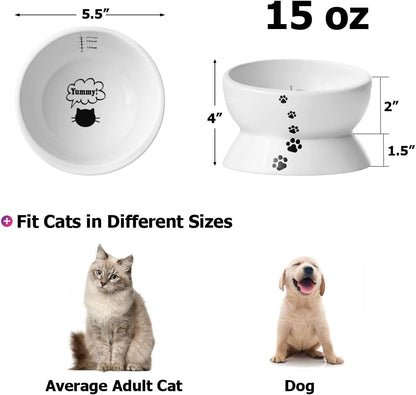 Elevated Cat Food Bowl, Raised Pet Food and Water Bowl, Cat and Small Dog Bowl, Tilted Ceramic Cat Water Bowl No Spill,15Oz, Dishwasher Safe
