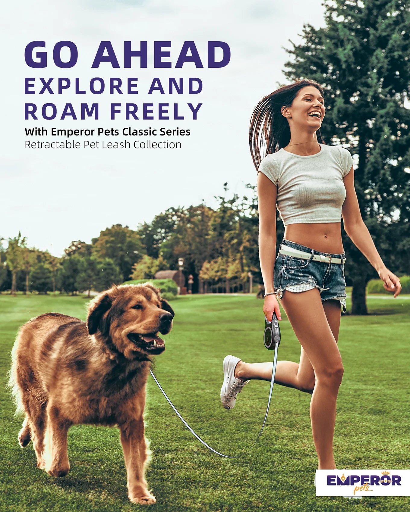 Correa Retráctil Para Perros Grandes De 16 Pies - Hasta 110 Libras, Correa Para Perros Grandes De Alta Resistencia Retráctil De 16 Pies - Gris - GY16-50