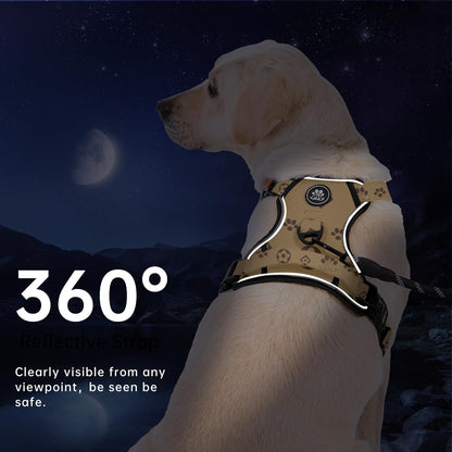 No Pull Dog Harness Set