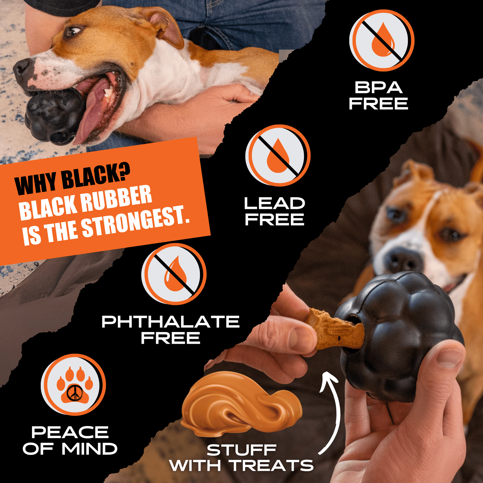 Dog toy with text highlighting safety features and a dog interacting with it.
