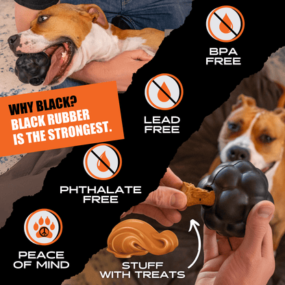 Dog toy with text highlighting safety features and a dog interacting with it.