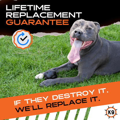 Dog lying on grass with a promotional message about a lifetime replacement guarantee.