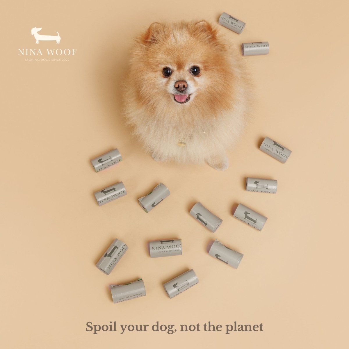 Small dog surrounded by 'Nina Woof' treats on a beige background